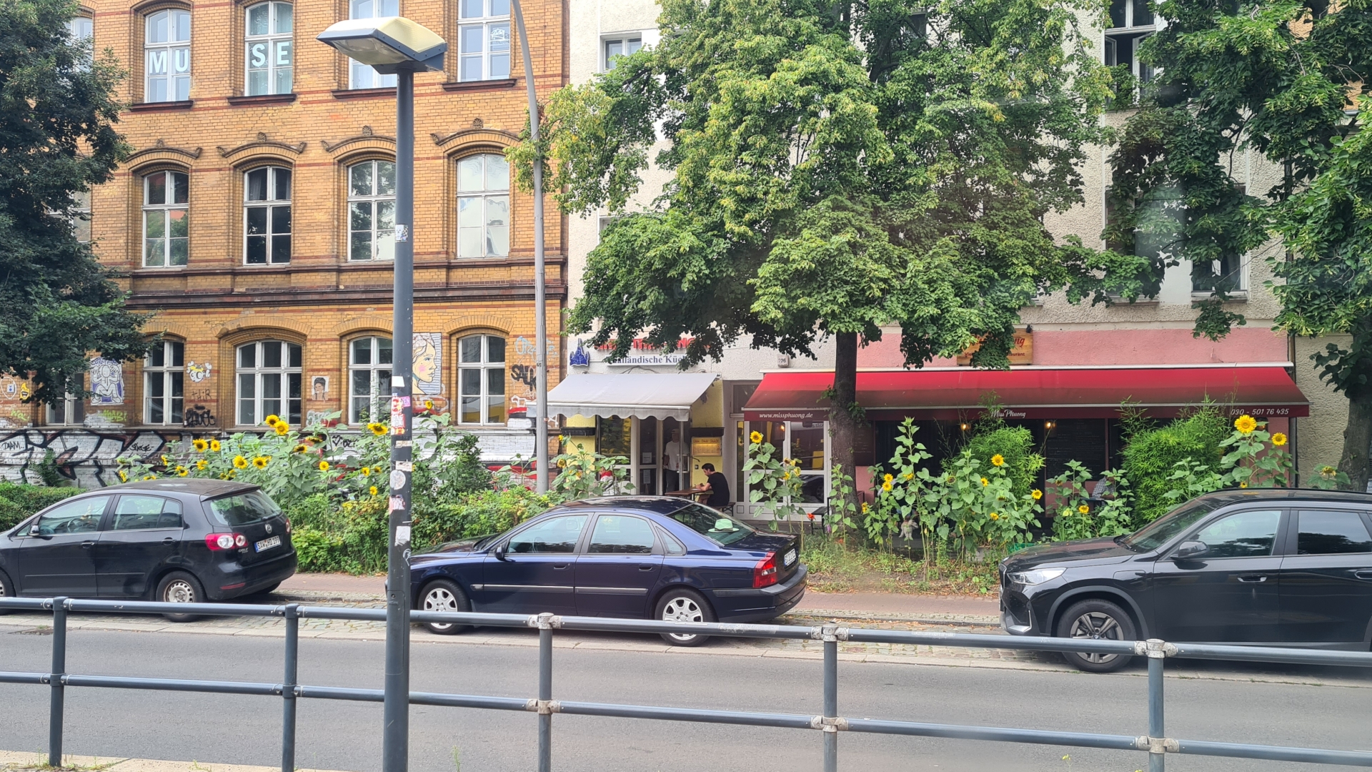 Attack of Sunflowers